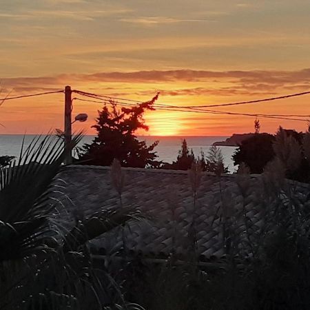 Appartement Terrasse Vue Mer, Plage Gorguette A 1 Minute A Pied, Wifi,Clim Parking Collectif 滨海萨纳里 外观 照片