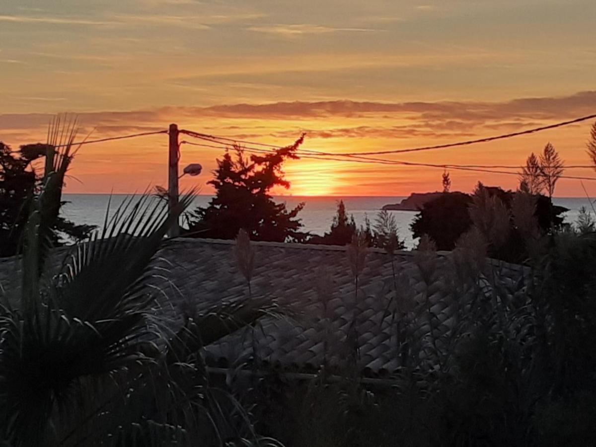 Appartement Terrasse Vue Mer, Plage Gorguette A 1 Minute A Pied, Wifi,Clim Parking Collectif 滨海萨纳里 外观 照片